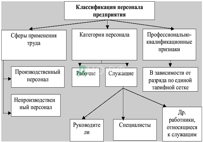 Дипломная работа: Работа службы управления персоналом предприятия анализ пути ее совершенствования